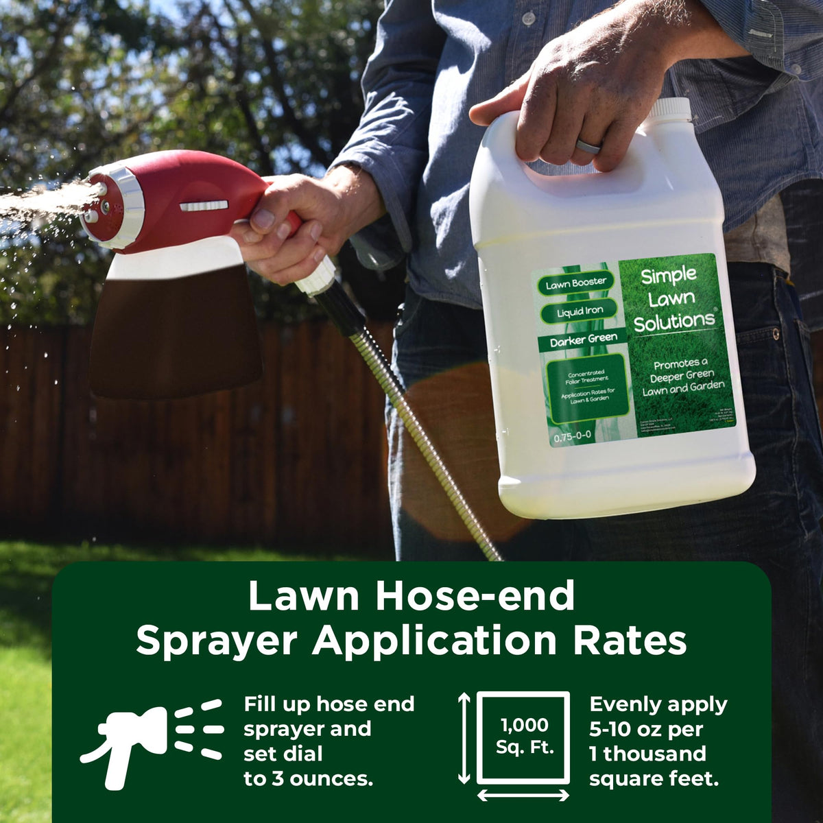 Simple Lawn Solutions indoor plants treated with iron for healthier foliage.