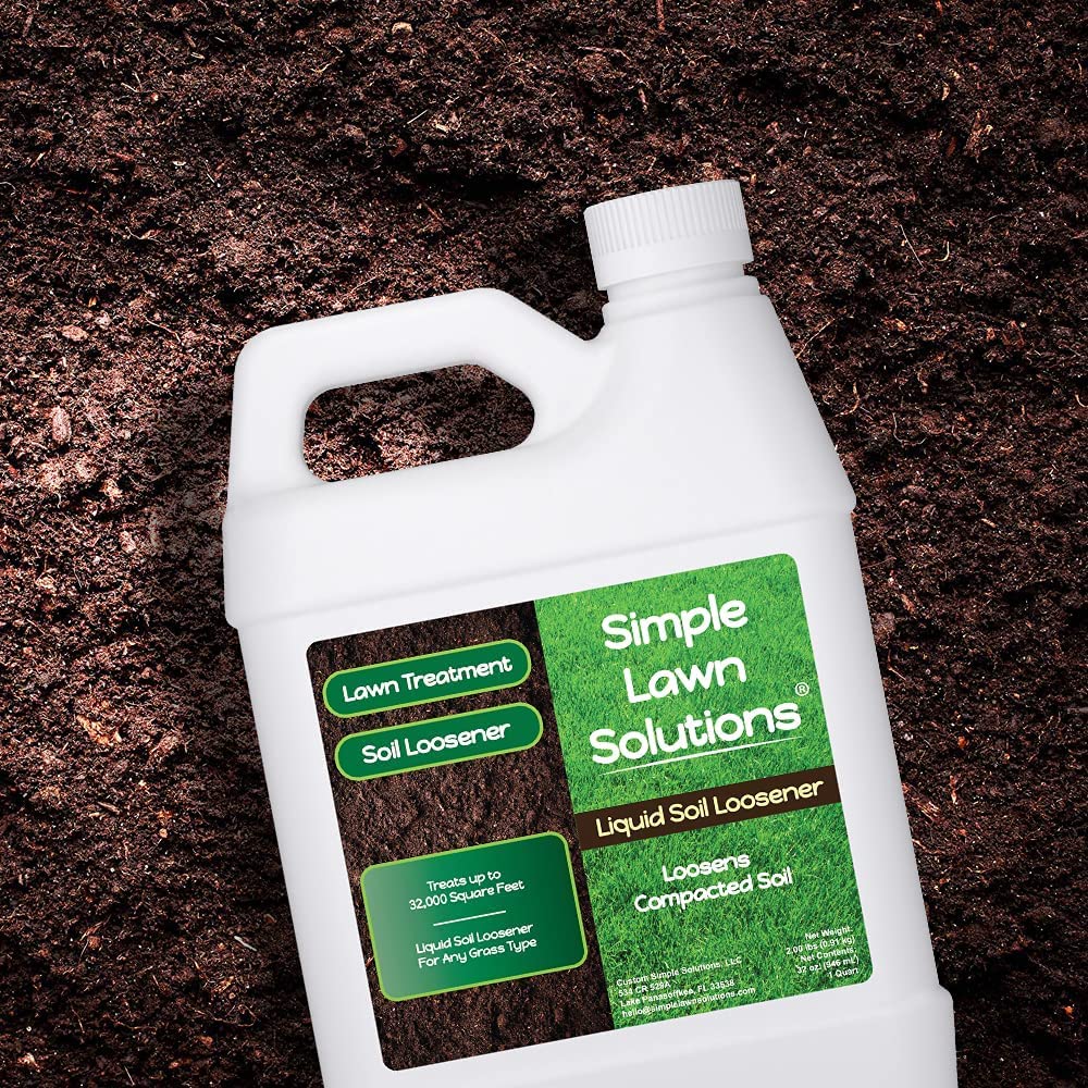 Lush lawn after Simple Lawn Solutions Loosener conditioning showing drainage improvements.