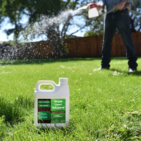 Close-up of compact soil before and after Simple Lawn Solutions Loosener treatment for penetration ease.