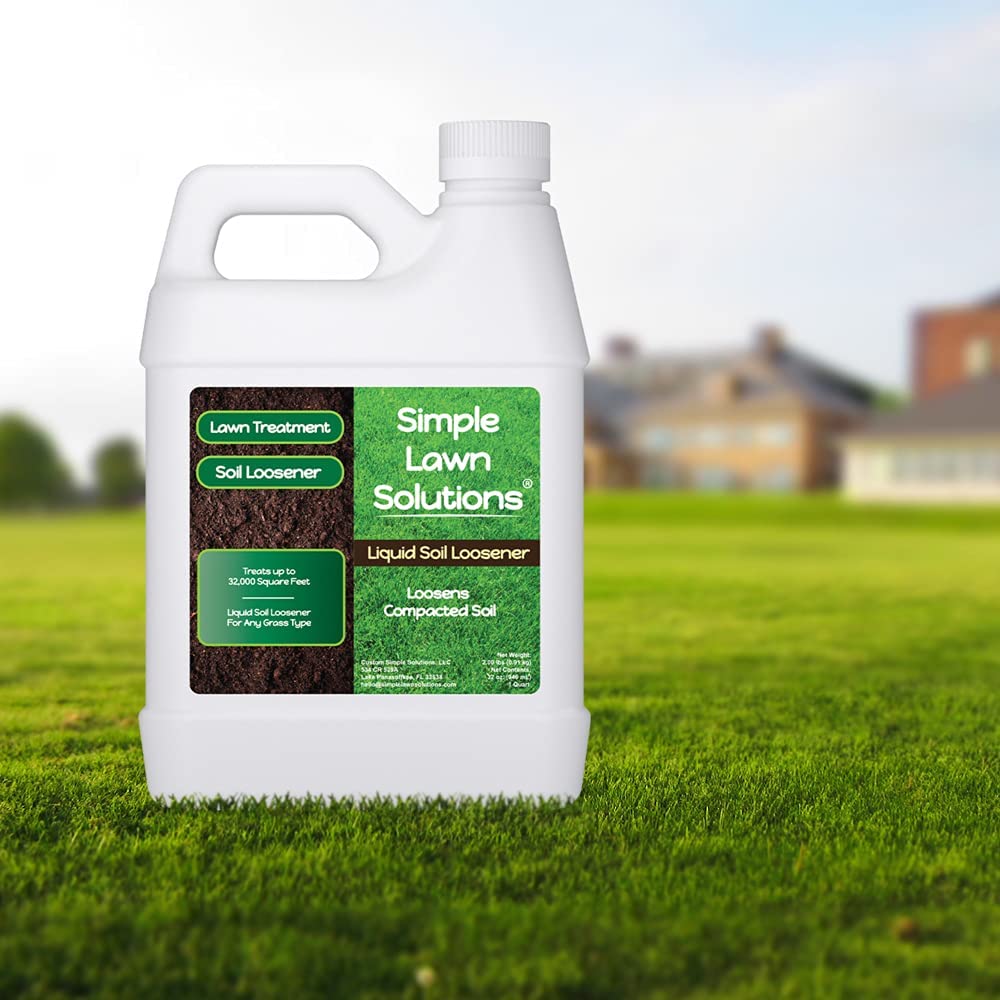 Standing water near turf addressed with Simple Lawn Solutions Loosener for better drainage.