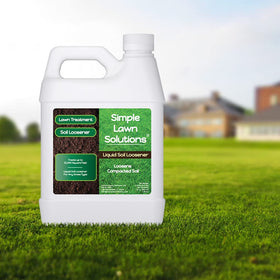 Standing water near turf addressed with Simple Lawn Solutions Loosener for better drainage.