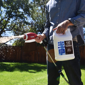 Simple Lawn Solutions lush lawn-turf texture suggests denser grass growth