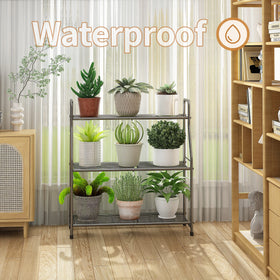 Simple Trending bonsai display stand for living room or entryway.