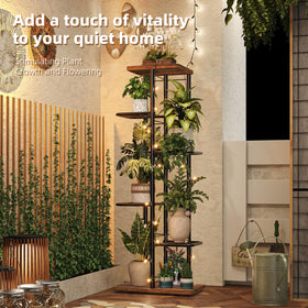 Simple Trending grid shelves show airflow for healthy indoor and outdoor plants.