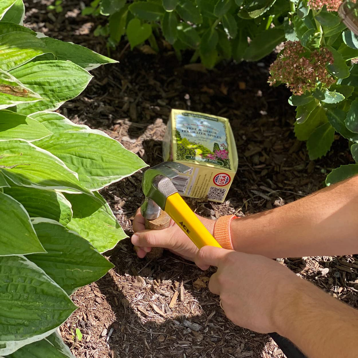 Six-count TruSpikes box with instructions for garden use.