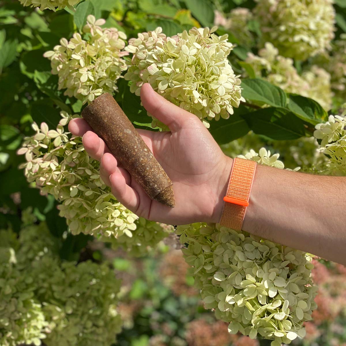 SIMPLYGRO TruSpikes placed in soil around a shrub for landscape care.