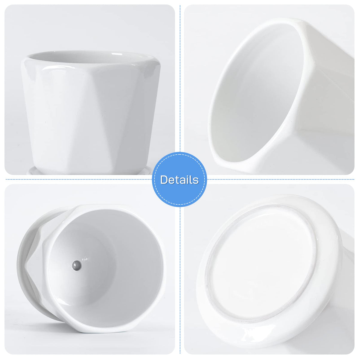 Sin Wings gift-ready planter set enhances home decor and plant gifting.