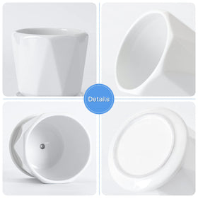 Sin Wings gift-ready planter set enhances home decor and plant gifting.