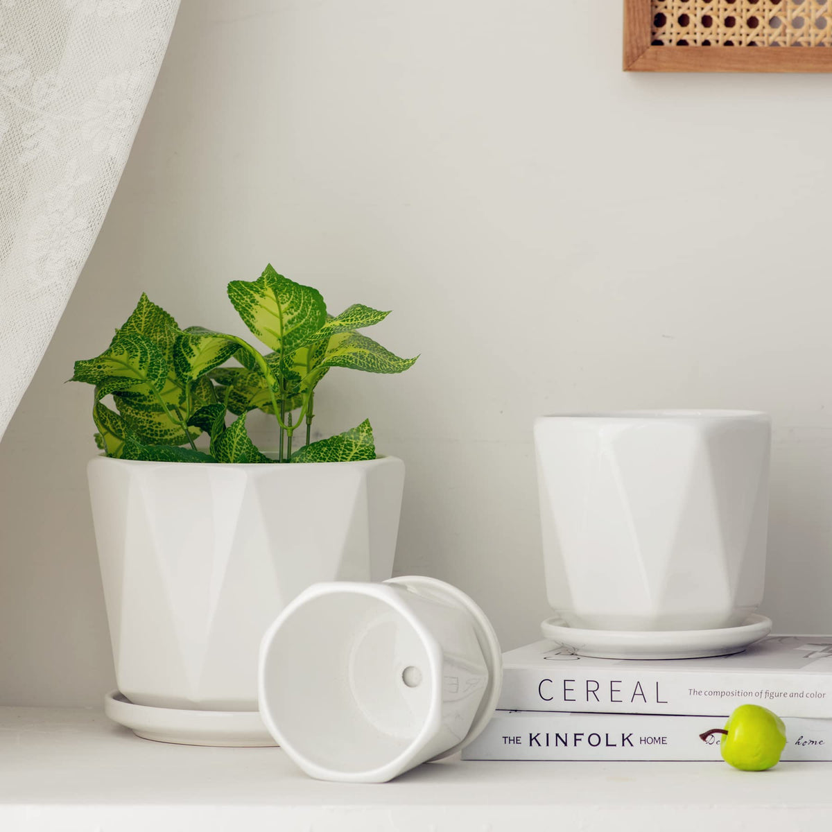 Sin Wings indoor white planter on a windowsill adds contemporary charm.