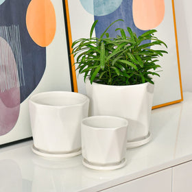 Sin Wings modern white ceramic planter close-up showcases thick, durable walls.