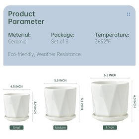 Sin Wings octagon ceramic pot with drainage hole highlights practical soil management.