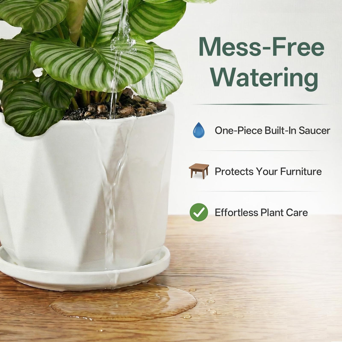 Sin Wings octagon ceramic pot small suited for flowering plants or desk spaces.
