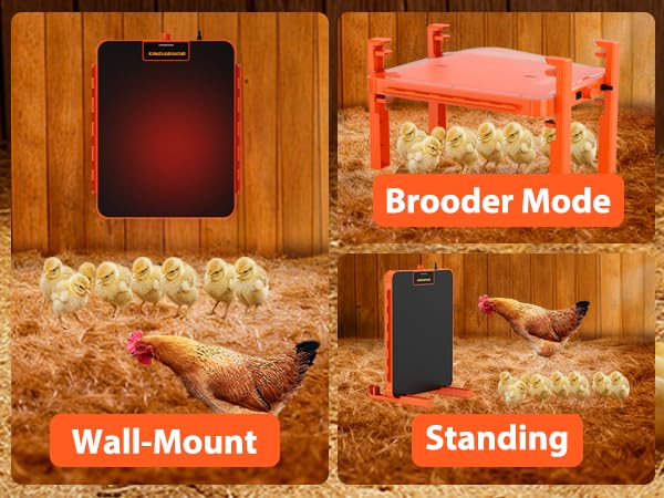 Adjustable-height setup for Sindarhor brooder plate adapts as chicks grow.