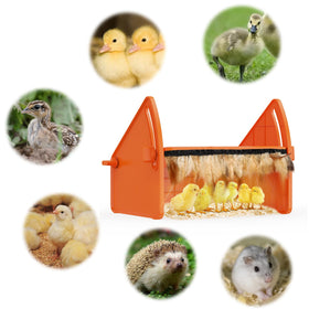 Sindarhor plate with chicks demonstrates safe above-heat warmth from Sindarhor