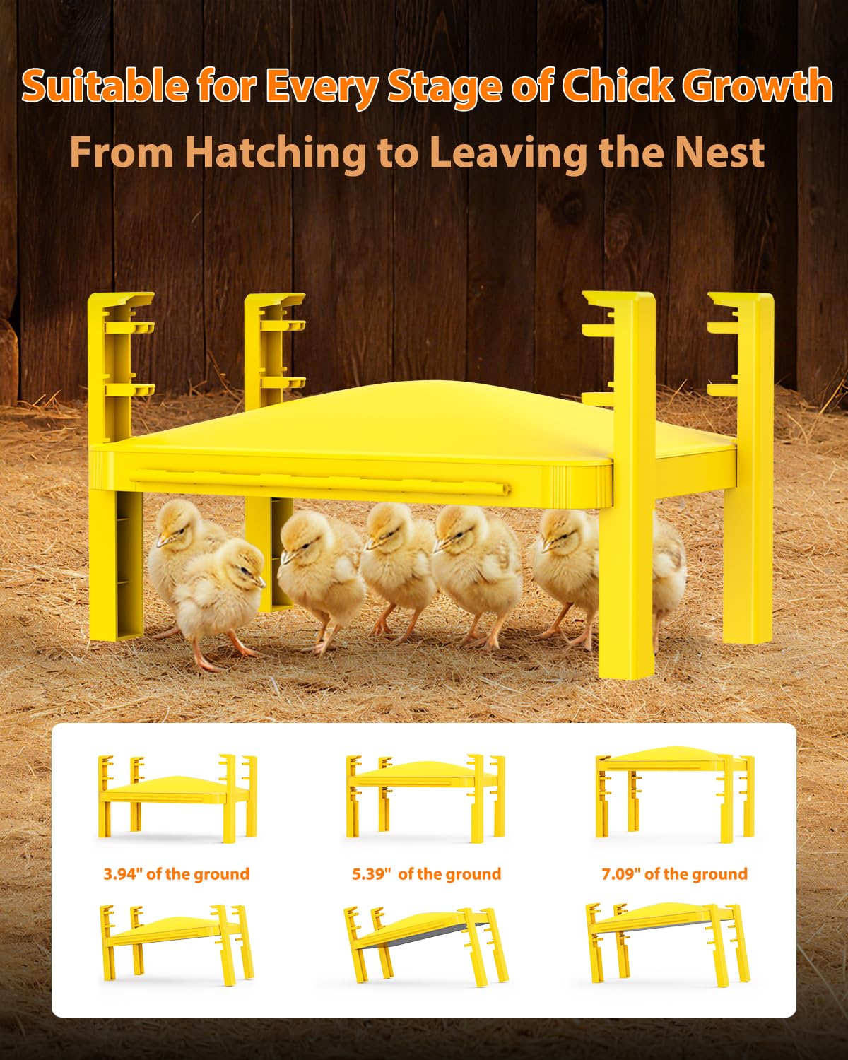 Sindarhor brooder plate provides up to 190°F heat output for flexible care.