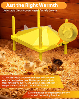 Sindarhor chick brooder plate with legs setup for height adjustability.