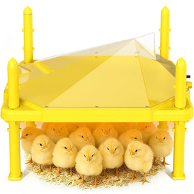 Sindarhor chick brooder plate top view showing the warming surface.
