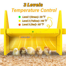 Sindarhor heating brooder plate with adjustable levels supports growing chicks.