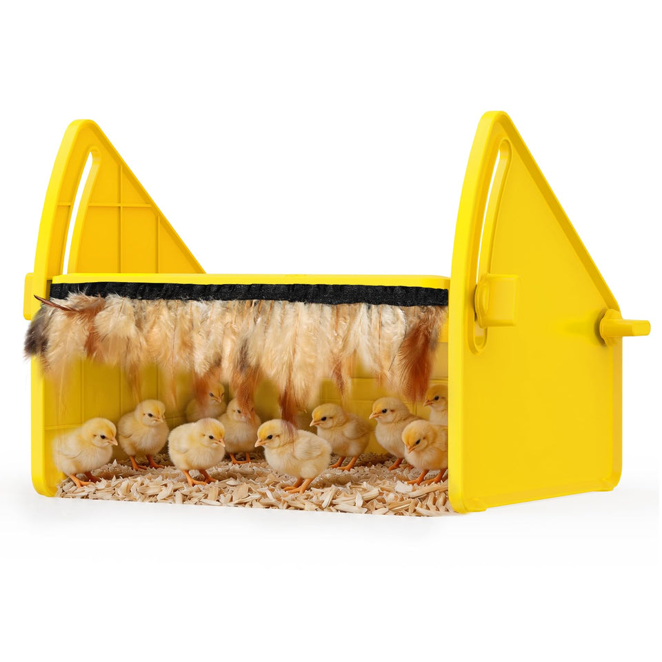 Sindarhor heating brooder plate top panel delivers gentle warmth to newborn chicks.