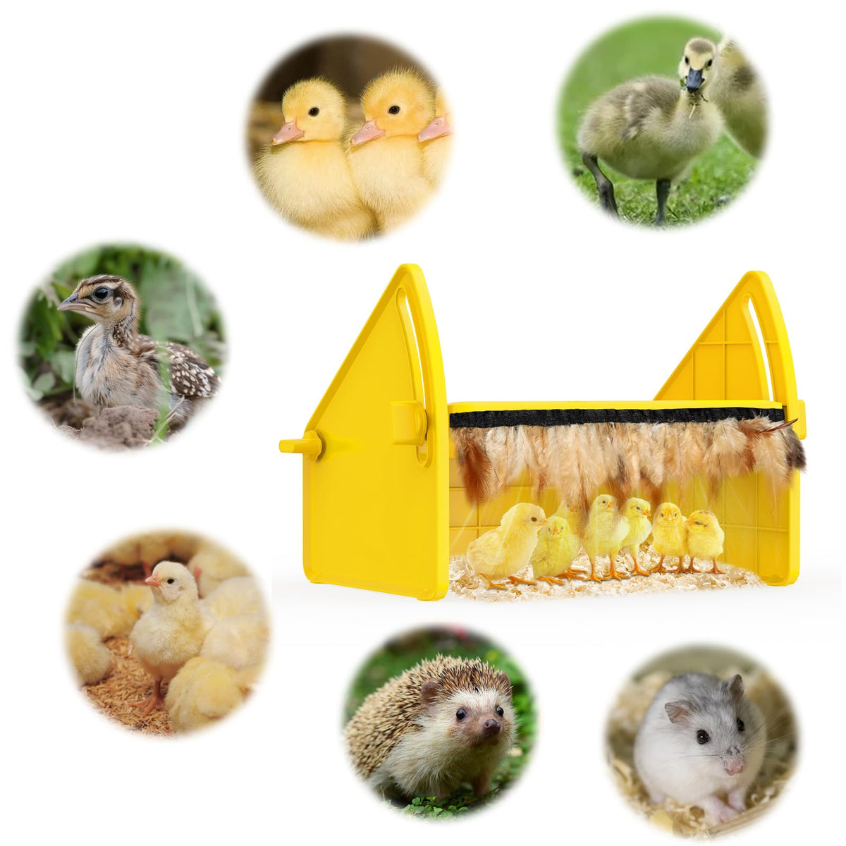 Sindarhor three temperature settings offer flexible warmth as chicks grow.