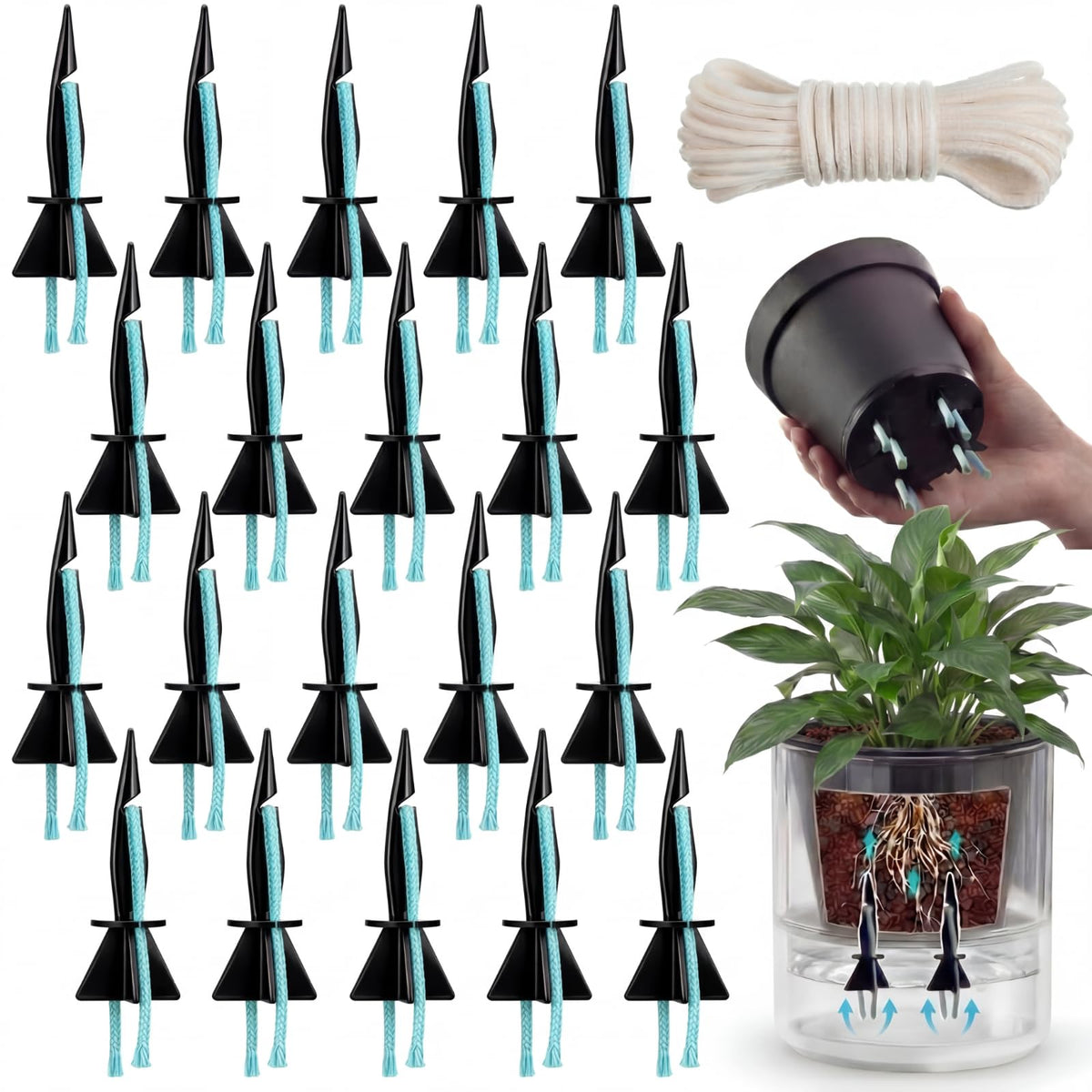 Singhoow self-watering spikes in a planter ensure steady moisture for indoor plants.
