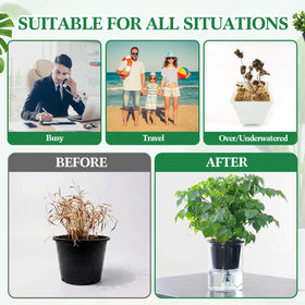 Singhoow vacation-ready plant care enables hands-off hydration during trips.