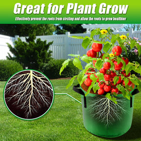 Sinimaka breathable grow bag showing root airflow and healthy growth