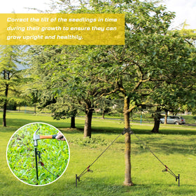 38 mm strap diameter in Sintuff kit supports sturdy tree stabilization