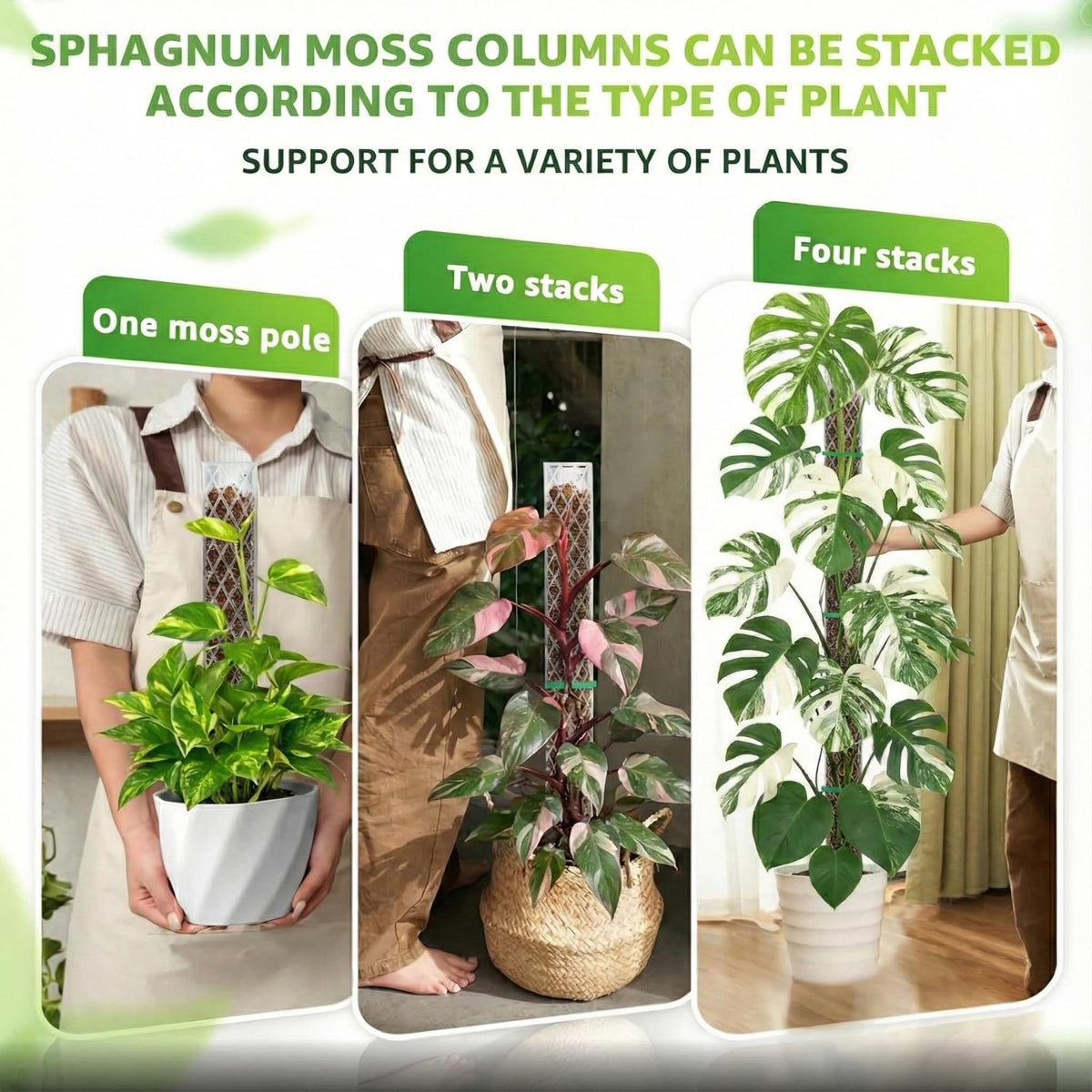 Plant ties from Sisher provide gentle, adjustable securing without damaging stems