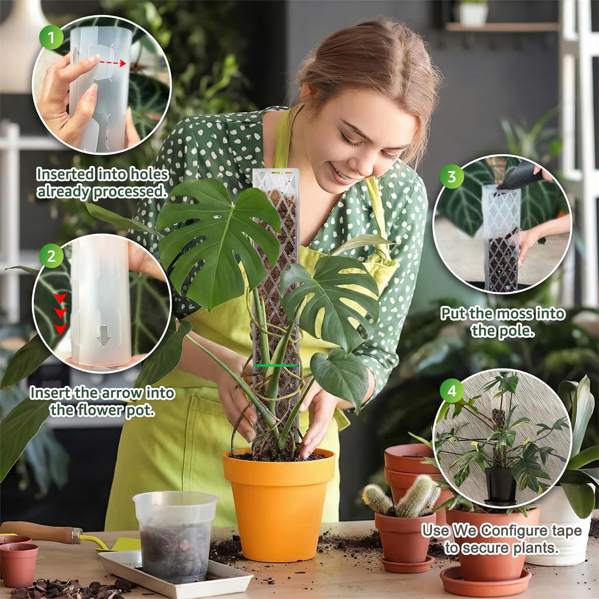 Four-pack plastic moss poles for climbing plants by Sisher