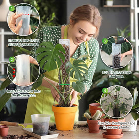 Four-pack plastic moss poles for climbing plants by Sisher