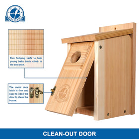 SISTERBIRD bird house kit, easy screwdriver assembly for family project