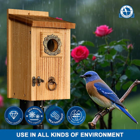 SISTERBIRD bluebird house easy assembly with screwdriver