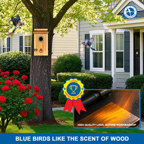 SISTERBIRD bluebird house gift-pack ideal for nature lovers