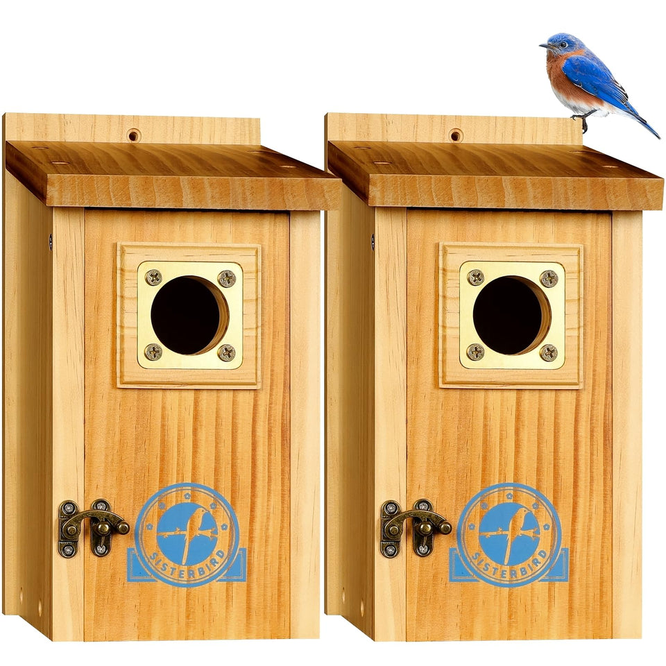 SISTERBIRD bluebird house for outdoor assembly enhances family projects and birdwatching.
