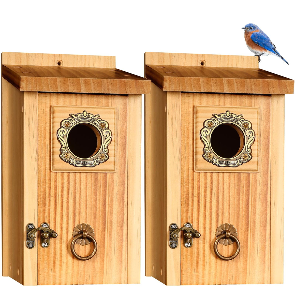 SISTERBIRD bluebird house front view with predator guard for outdoor use