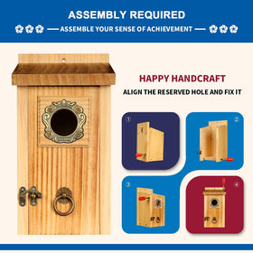 SISTERBIRD bluebird house front with predator guard