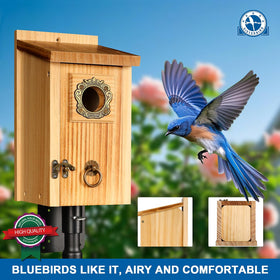 SISTERBIRD bluebird house weatherproof coating protects year-round