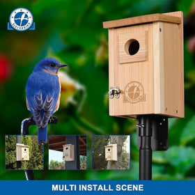 SISTERBIRD bluebird houses in garden setting, durable wood for year-round use