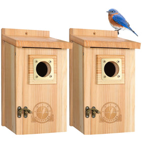 SISTERBIRD cedar bird house designed for outdoor use with natural grain and durability