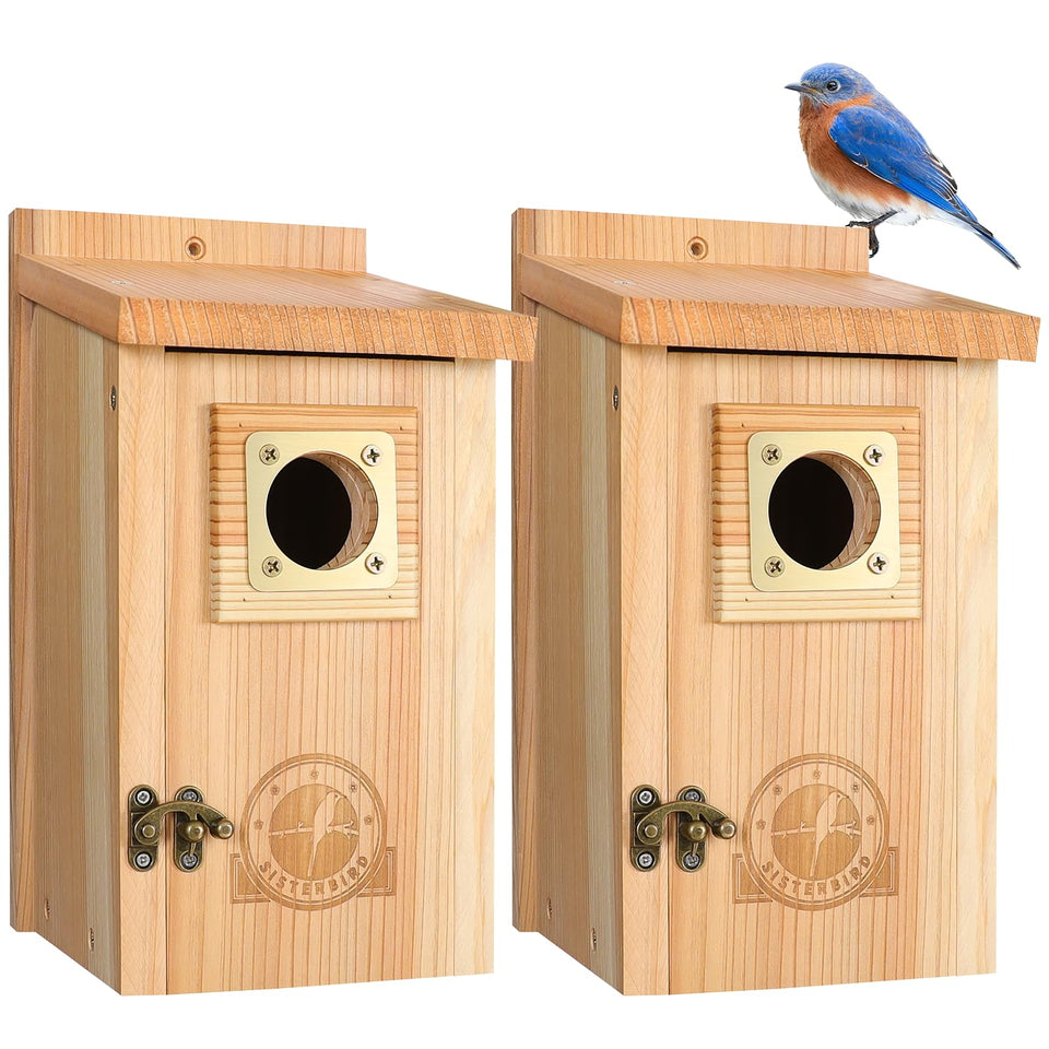 SISTERBIRD cedar bird house designed for outdoor use with natural grain and durability