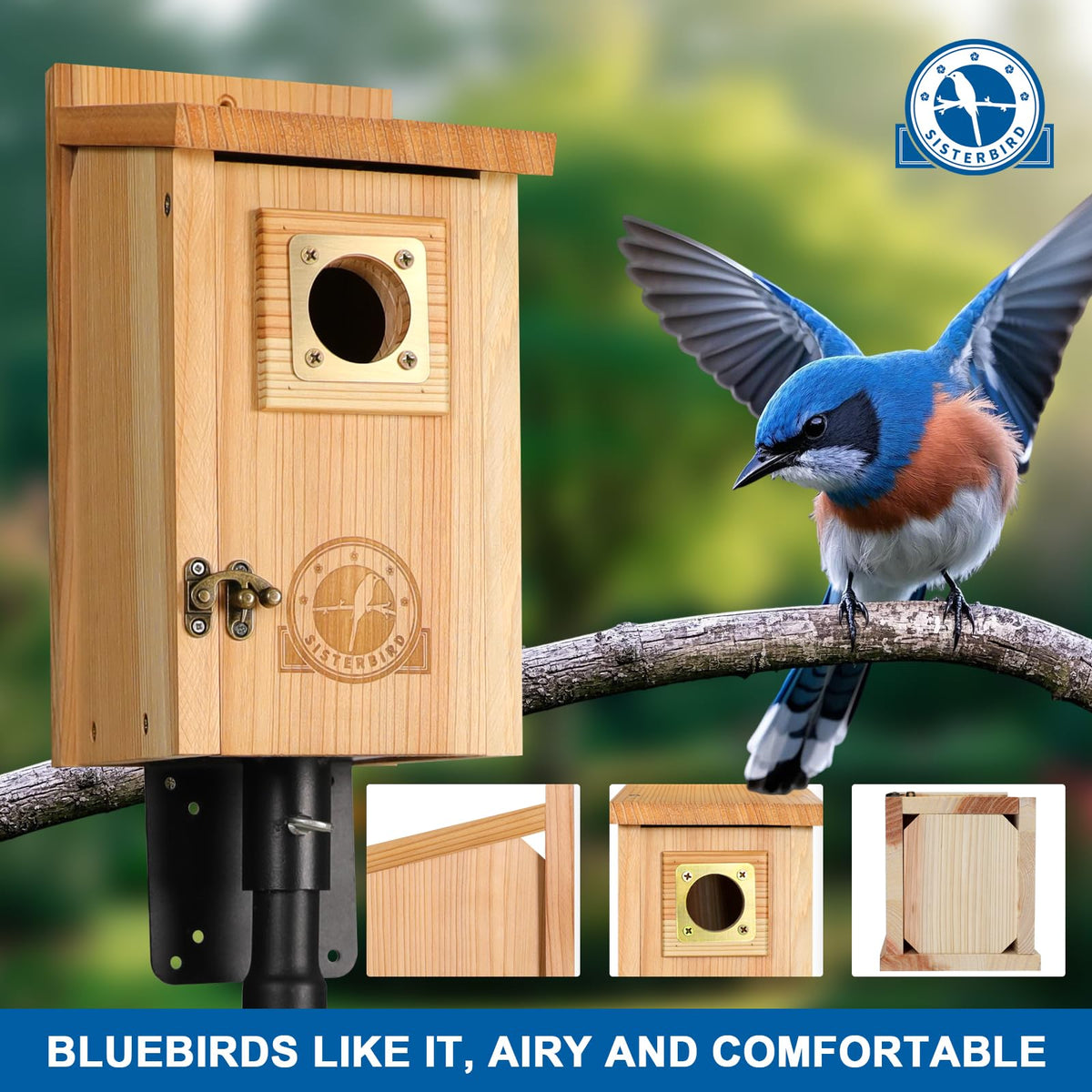 SISTERBIRD cedar bird house stands up to weather year-round.
