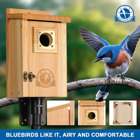 SISTERBIRD bird house shows copper guard around entrance for fledgling protection