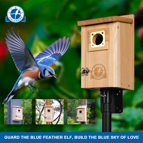 Weather-ready cedar material used in SISTERBIRD bird houses