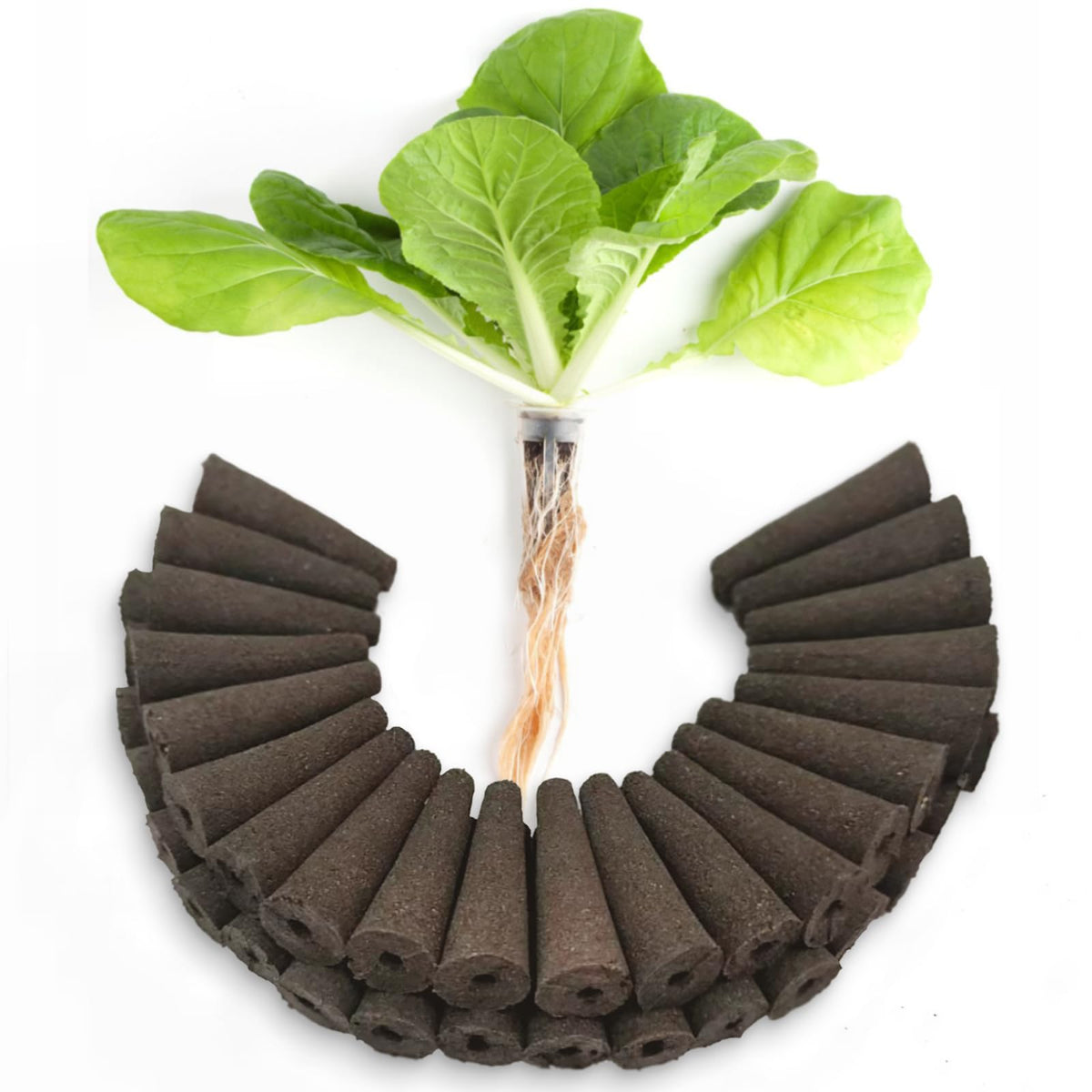 SIULMKOT 60-pack replacement pods for AeroGarden provide seamless compatibility for indoor herb gardens.