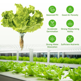 SIULMKOT peat-based sponges with balanced pH foster healthy germination.