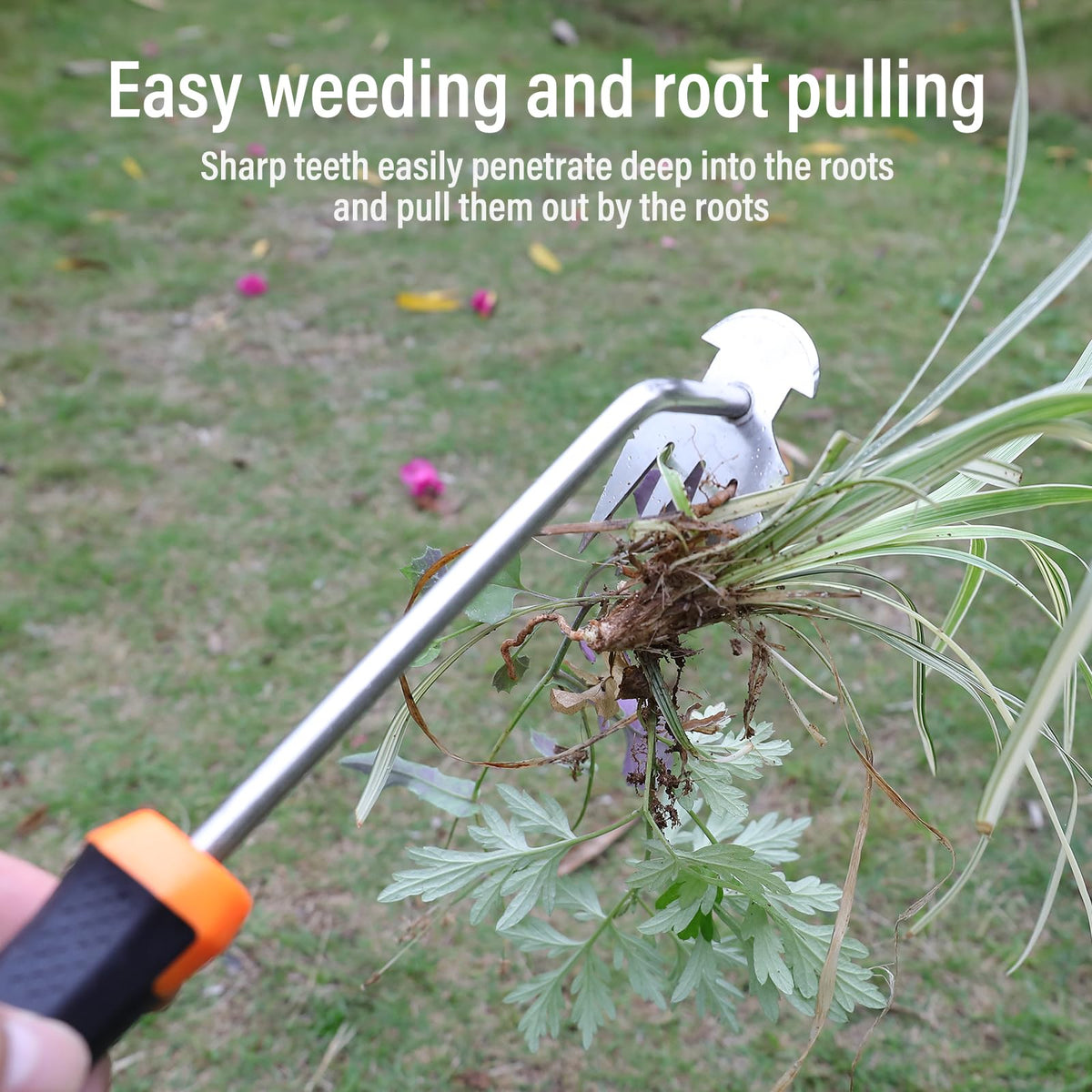SIXCAR weed remover tool in anti-rust steel for durability