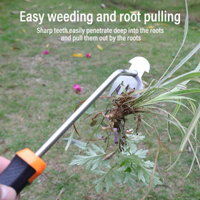 SIXCAR weed remover tool in anti-rust steel for durability