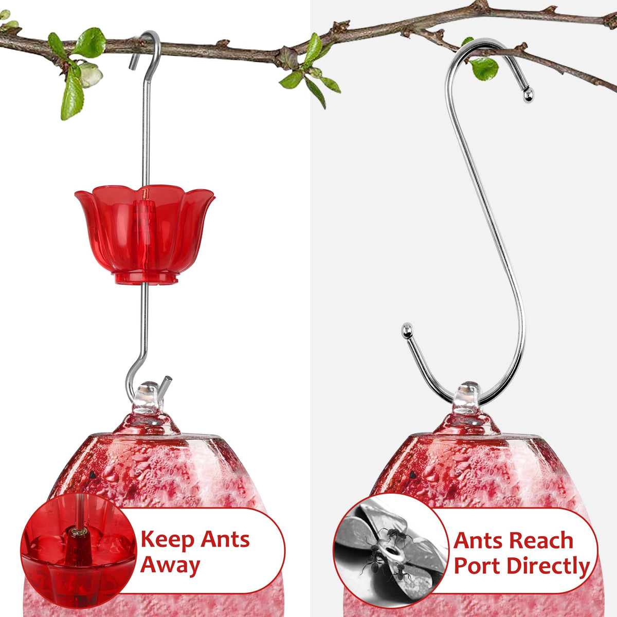SIXTOYZF ant moat 2 oz capacity with clear view for monitoring.