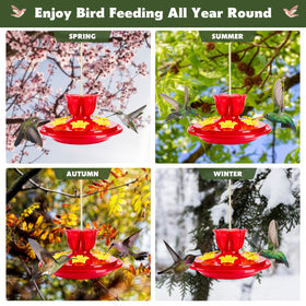 SIXTOYZF outdoor hanging feeder for yard or balcony